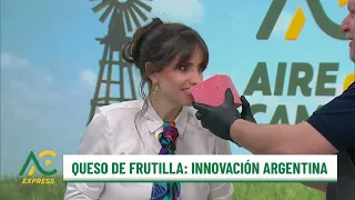 Quesos: Tradición e innovación argentina - Aire De Campo Express
