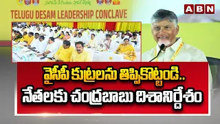 ABN EXPLOSIVE :వైసీపీ కుట్రలను తిప్పికొట్టండి..నేతలకు చంద్రబాబు దిశానిర్దేశం | CM Chandrababu | ABN