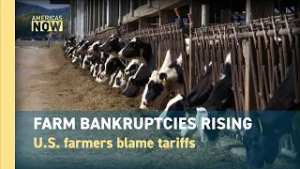 Why U.S. Farm Bankruptcies Are Surging?