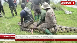 Agabuutikidde: Ow'emyaka 21 asimattuse okuliibwa Ggoonya emulumye omukono n'okugulu