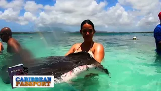 Caribbean Passport Promo - August 2026