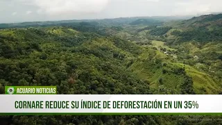 Cornare reduces its deforestation rate by 35%