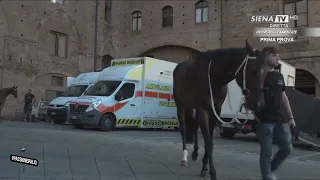 PALIO DI SIENA REGULATED TRIALS 08/11/2026