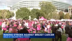 Thousands participate in Making Strides Against Breast Cancer Walk at Soldier Field in Chicago