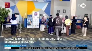 BAUBAU SIAP JADI PUSAT HILIRISASI JAMBU METE DI SULAWESI TENGGARA