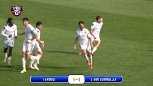 TERMOLI - VIGOR SENIGALLIA 1-1