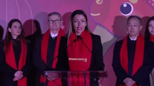 Mesarović na otvaranju 8. Kineskog festivala svetla u Beogradu na vodi