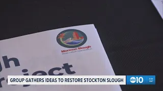 Restoration project aims to transform troubled Mormon Slough in Stockton