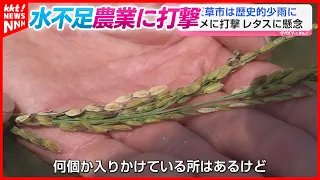 "Exceptionally Low Rainfall": Amakusa Region Faces Worsening Water Shortage as Dam Levels Drop, T...
