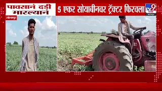 Soyabin Farmer Issue | पावसानं दड़ी मारल्यानं, 5 एकर सोयाबीनवर ट्रॅक्टर फिरवला