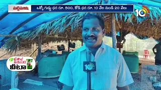 Rs.500 For An Egg Farmer income | రూ.500 గుడ్డు..రూ.20 వేల నాటు కోడి.. రైతు అదిరిపోయే సంపాదన | 10TV