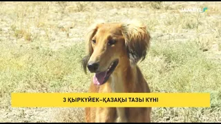 3 қыркүйек–қазақы тазы күні
