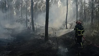 After the megafire in Gironde, firefighters brace for months of battling "zombie fires"