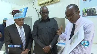 Visite ministérielle au laboratoire in vitro du CERD pour renforcer les techniques agricoles du pays