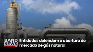 Entities advocate for the opening of the natural gas market | BandNews TV
