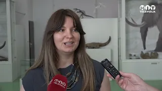 Edukativni kviz za djecu u Muzeju Brčko distrikta - Hit Televizija Brčko