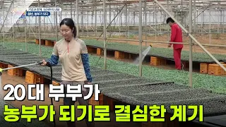[기업과 함께, 농어촌의 내일] 20대 부부가 농부가 되기로 결심한 계기 [생방송 굿모닝 대한민국] | KBS 260903 방송