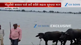 Anandના તારાપુરમાં 12 ઇંચ વરસાદથી ખેતરો પાણીમાં ડૂબતા વ્યાપક નુકસાન, ખેડૂતો દ્વારા સહાયની માંગ
