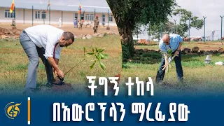 የአረንጓዴ አሻራ መርሐ-ግብር በደብረማርቆስ ንጉሥ ተክለ-ሐይማኖት አውሮፕላን ማረፊያ
