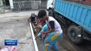 BANGUN 65 GERAI, KDMP DI TARGETKAN LAUNCHING BULAN MARET