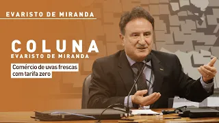 Evaristo de Miranda: Zero-Tariff Fresh Grape Trade