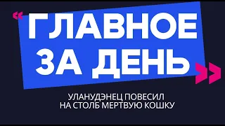 Главное за день: уланудэнец повесил на столб мертвую кошку