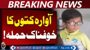 Dog Bite Incidents | Burwala Gago Mandi | Children Injured | Rescue Operation - Aaj Pakistan News