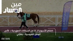 Conclusion of Week 11 of the Preliminary Races for the Al-Watan Equestrian Cup - Benghazi