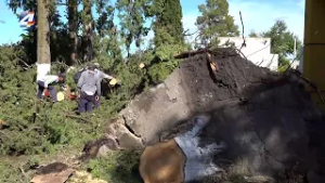Comenzaron tareas de limpieza y reacondicionamiento en el Municipio de Porvenir tras la tormenta