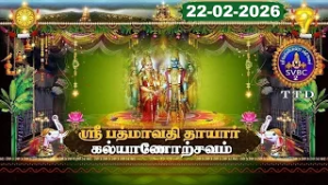 Sri Padmavathi Ammavari || Kalyanotsavam || Tiruchanoor || 22-02-2026 || SVBC2 Tamil || SVBC TTD