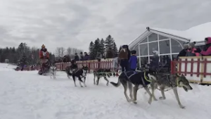 Can-Am Crown Sled Dog Race this weekend