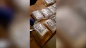 Marijampolės bute – įspūdingas kiekis kokaino: įkliuvo trys Lietuvos ir Rusijos piliečiai