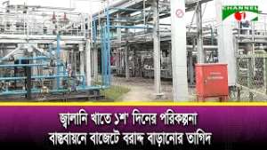 জ্বালানি খাতে ১শ' দিনের পরিকল্পনা বাস্তবায়নে বাজেটে বরাদ্দ বাড়ানোর তাগিদ