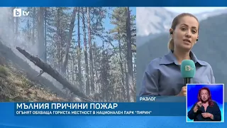 Мълния е предизвикала пожар в Пирин край Разлог