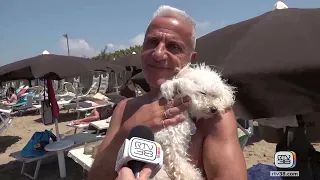 AT THE BEACH WITHOUT LEAVING YOUR DOG BEHIND