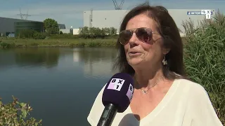 Comment un jeune phoque s’est retrouvé dans le canal à Vilvorde