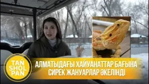 Алматыдағы хайуанаттар бағына сирек жануарлар әкелінді