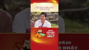 Một con ngựa đau thì sao ạ?