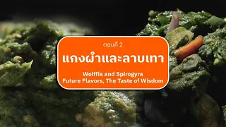เปิดต่อมสัมผัสรส "คาเวียร์อีสาน" และวัตถุดิบพื้นบ้านสุดล้ำค่า (25 ก.ค.69) พหุโอชา ตอน แกงผำและลาบเทา