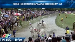 NHỮNG MÀN TRANH TÀI HẤP DẪN TẠI HỘI ĐUA BÒ BẢY NÚI