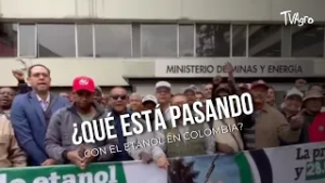 ¿Qué está pasando con el etanol en Colombia? - TvAgro por Juan Gonzalo Angel