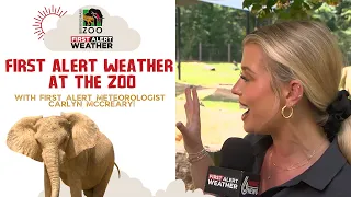 First Alert Weather at the Birmingham Zoo
