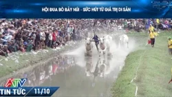 BAY NUI OX RACING FESTIVAL – THE ALLURE OF CULTURAL HERITAGE