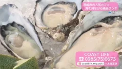 Trend#Link Popular Cafe in Miyazaki City: Exquisite Lunch with an Ocean View