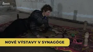 Výstavy v Synagóge