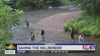 North Carolina Zoo helping to save the salamander after Hurricane Helene