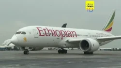 Ethiopian Airlines flight denied landing in Israel over Indonesian pilot
