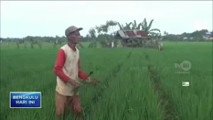 PEMKAB BENTENG FOKUSKAN TIGA SEKTOR PRIORITAS 2026