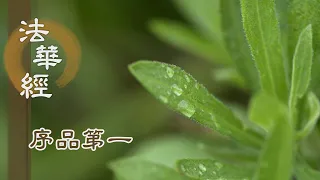 【靜思妙蓮華】法華經序品第一 - 法雨滋潤大小乾坤 - 第184集｜共修版