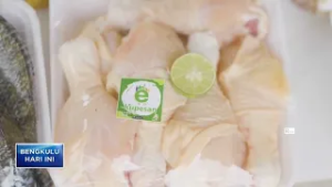 PELUANG BISNIS SAYURAN ONLINE